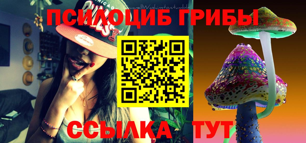 Видное  Псилоцибиновые грибы Psilocybe  Вход с VPN 